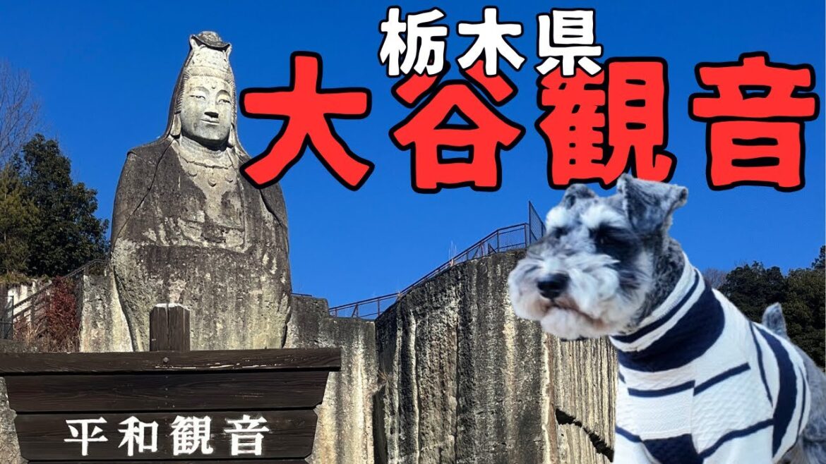 【栃木県宇都宮市】愛犬と大谷平和観音を拝観▲日本最古の石仏を訪ねる旅