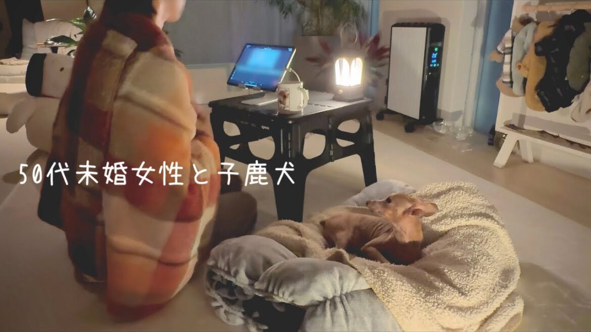 50代、未婚、子なし。立ち止まった時そっと背中を押してくれる心強い家族が傍にいるあたたかい週末（ミニピン）