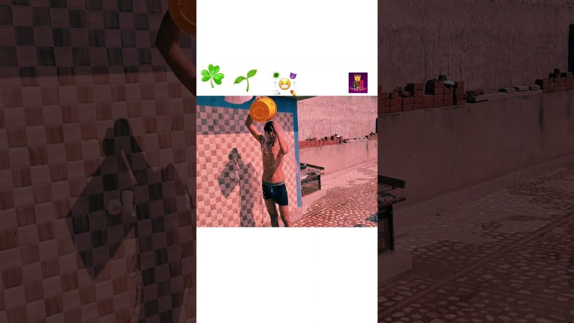 JermanSheferd|Dog|vs Labera Dog| #Jermanshferd #Dog #short