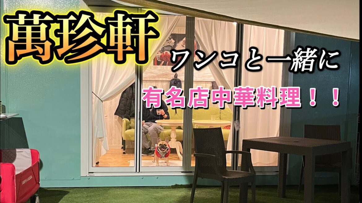 【萬珍軒】愛知県岡崎市の有名中華料理店の、ワンコテラスに行ったら愛犬がテンション爆上げだった【犬と一緒に入れる】幸田店
