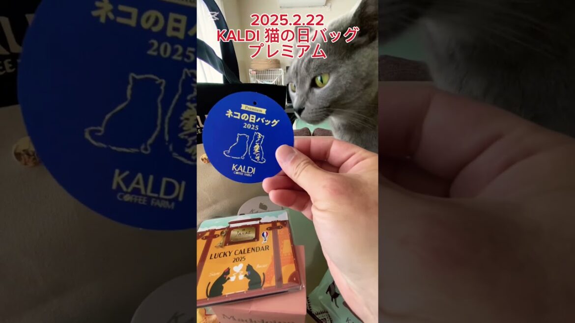 KALDI猫の日バッグプレミアム2025.2.22 #short #猫の日 #kaldı KALDI猫の日バッグプレミアム2025.2.22 #short #猫の日 #kaldı