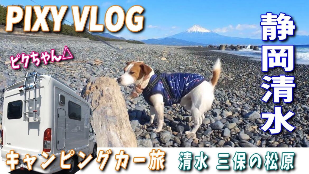 【三保の松原】走る犬小屋のキャンピングカーでお泊りしてからの朝散歩🐶