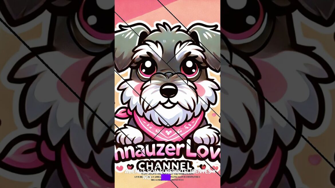 ¿SABÍAS ESTO SOBRE LOS SCHNAUZERS 🤯🐶