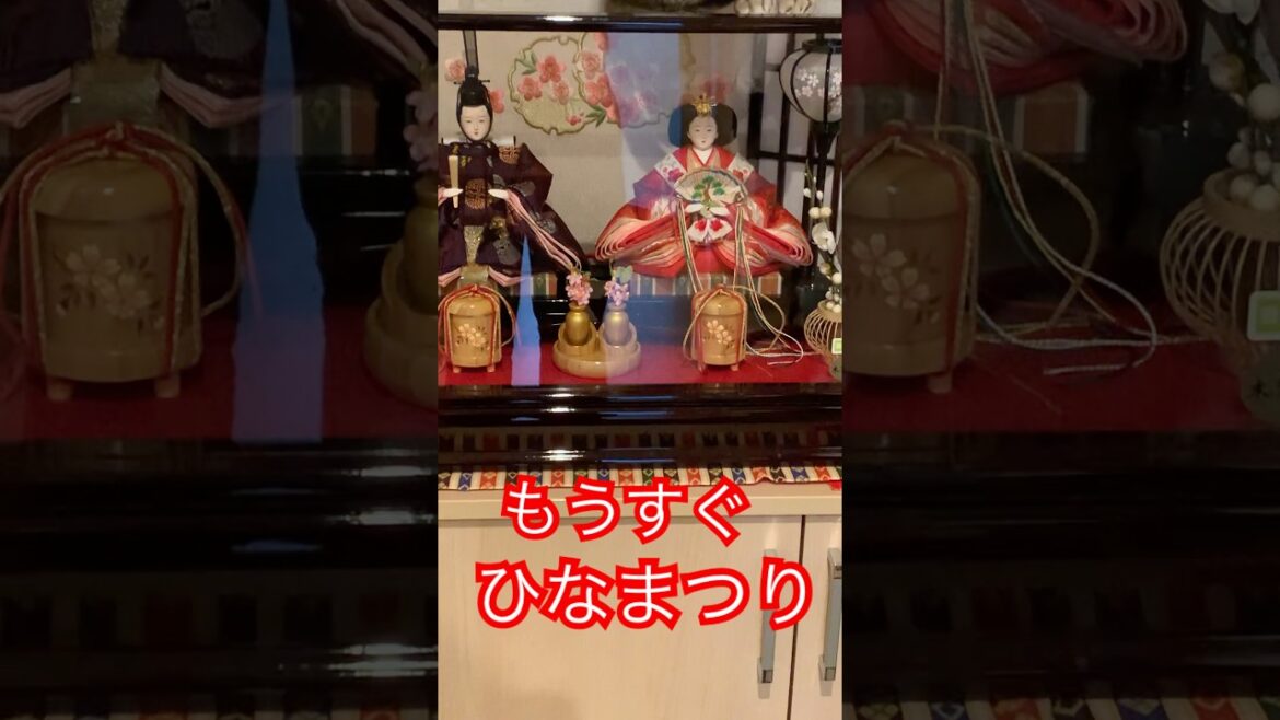 おひなさま　#猫のいるくらし  #シンガプーラ