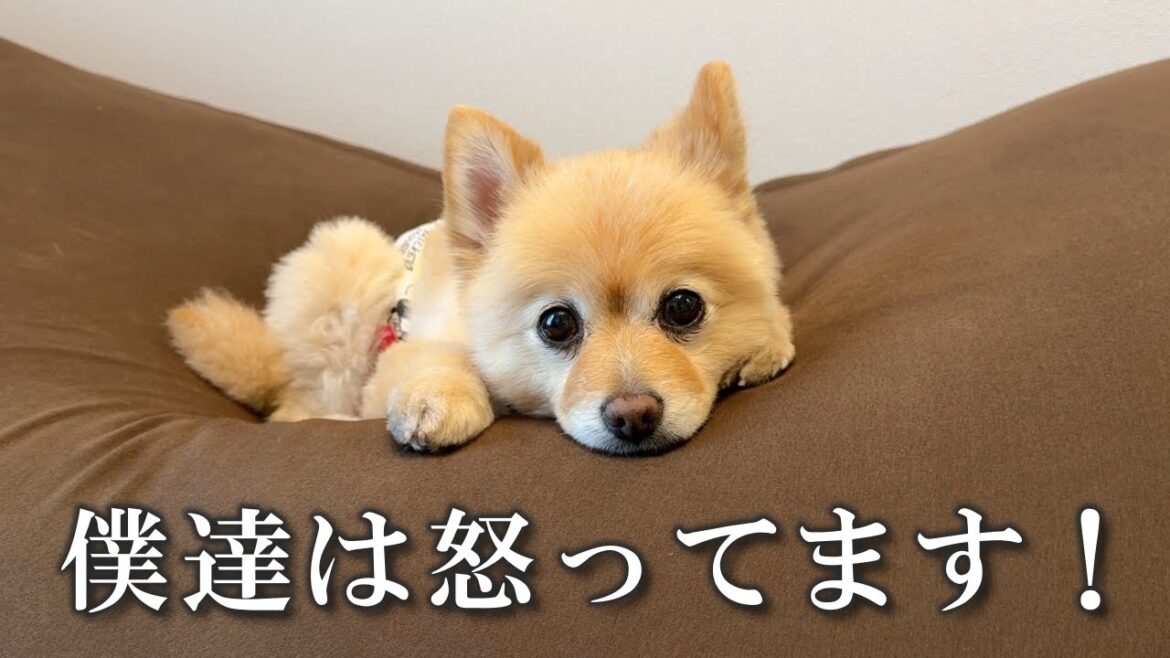 許せないことがありました…