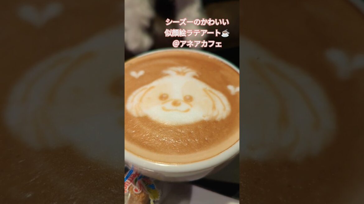 シーズー好きにはたまらない☕かわいいシーズーの似顔絵ラテアートを作ってもらいました！#シーズー #ラテアート #癒しタイム