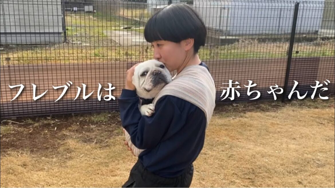 誰がなんと言おうとフレンチブルドッグは赤ちゃんだ
