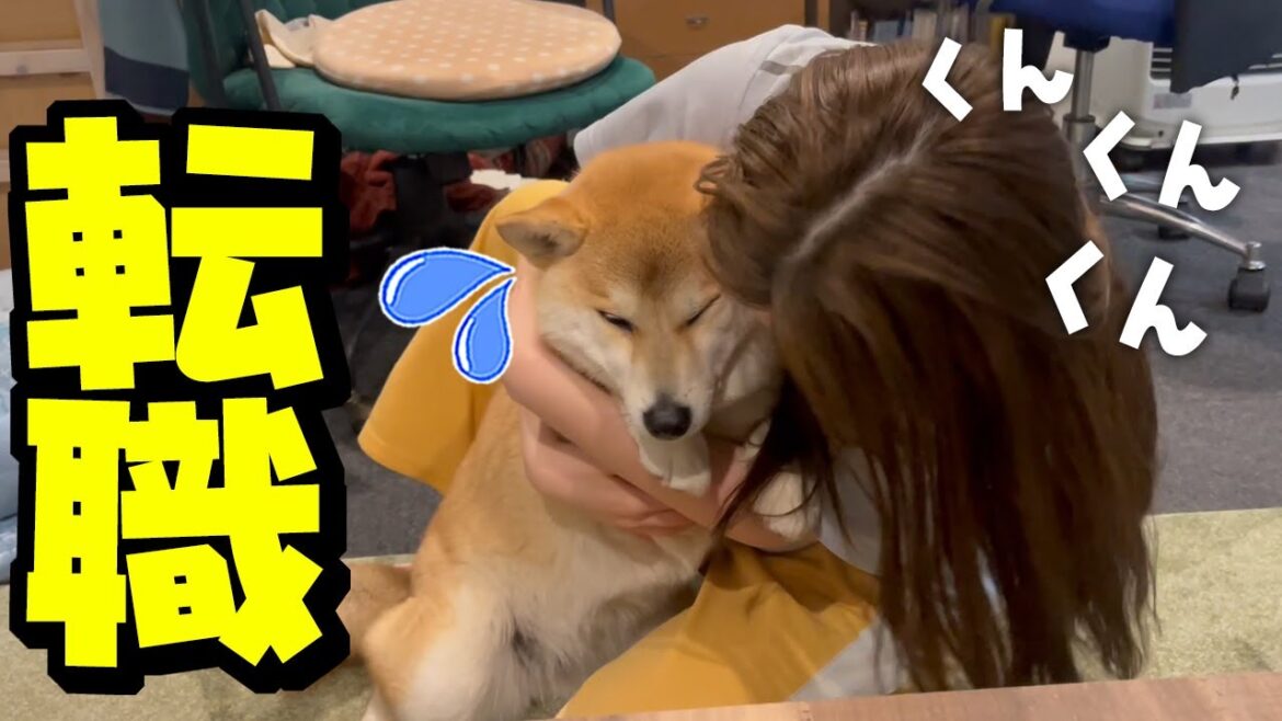 犬吸いしていたら事態が急展開へ…まさかの娘が転職宣言へ
