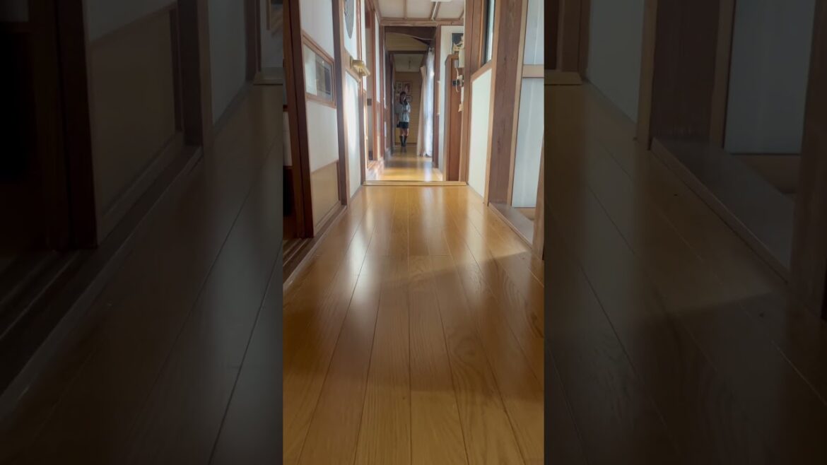 [コーギー]ひな祭りダッシュ[Corgi]