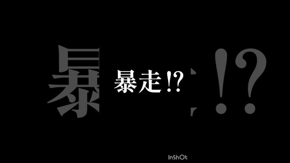飼主の暴走モード #ペキニーズカット