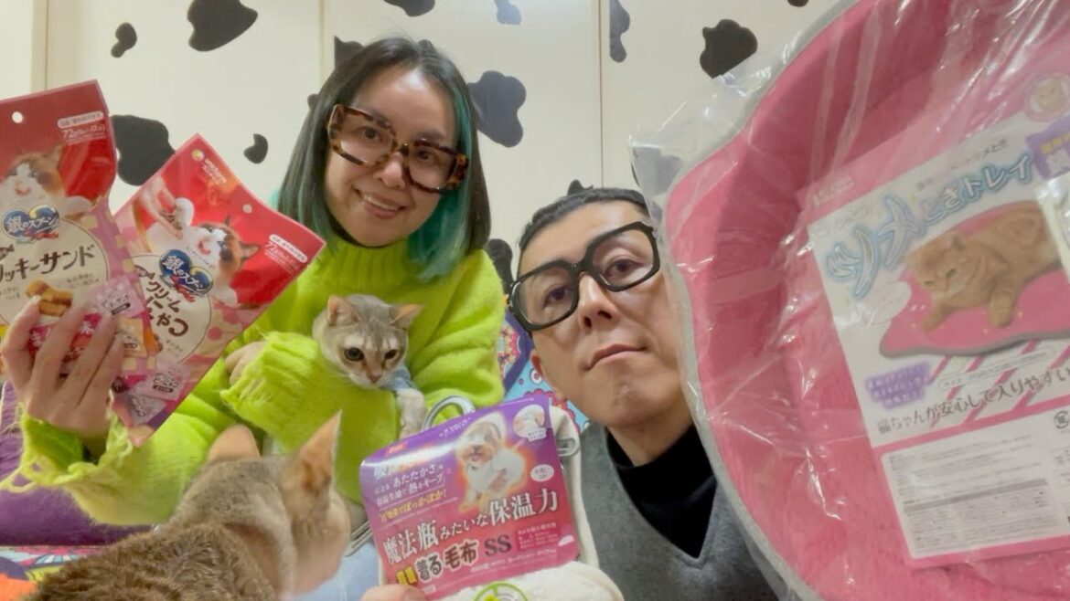 【ばぁばにもらったお土産】猫たち大喜びでした 【ばぁばにもらったお土産】猫たち大喜びでした
