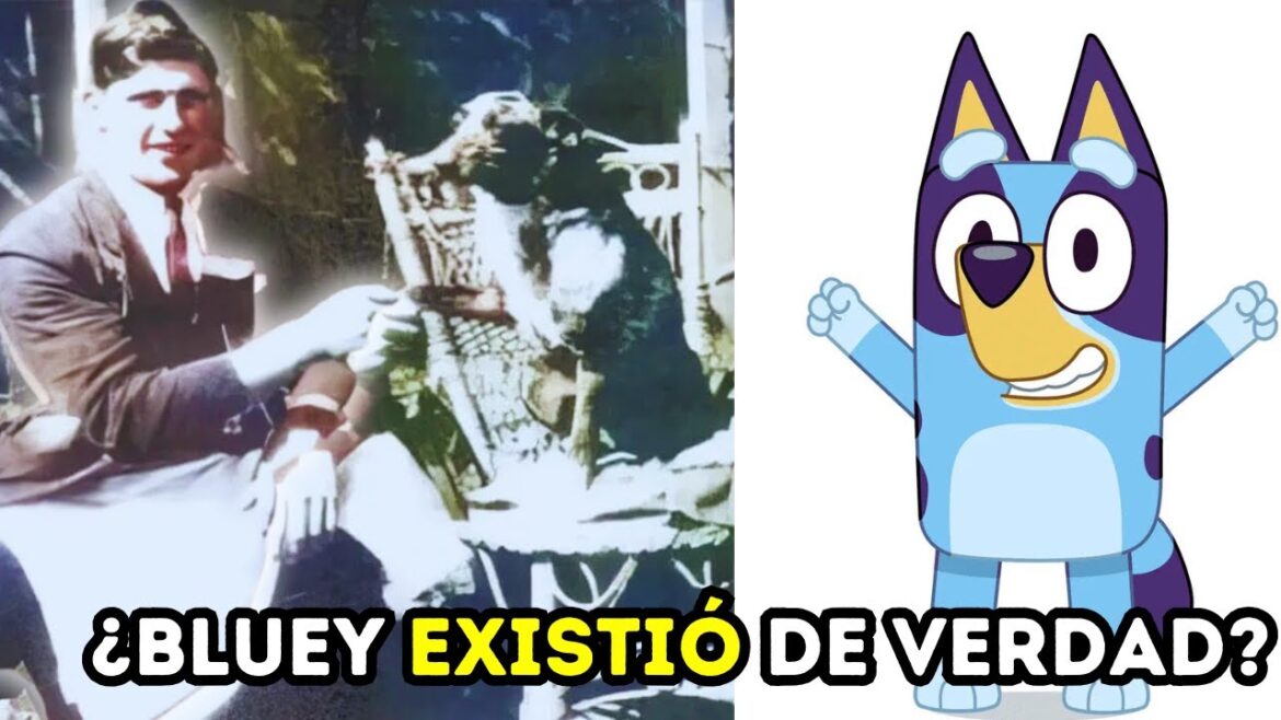 La Historia del Perro Más Longevo del Mundo🐶 Te sorprenderá