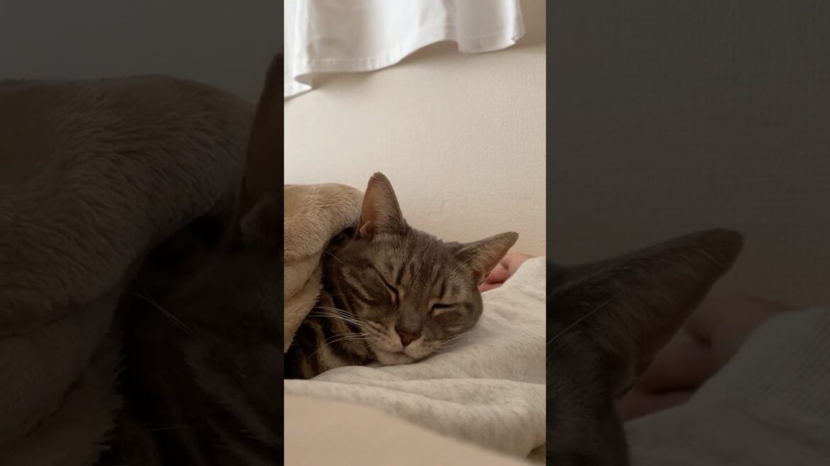 かわいいなぁ...かわいいなぁ