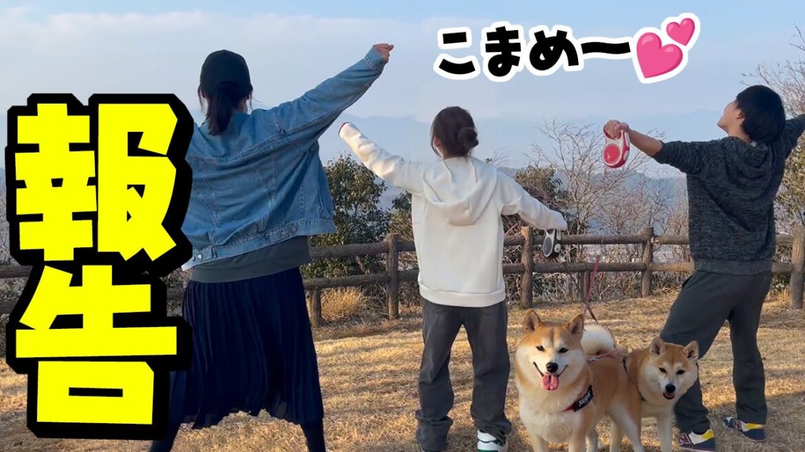 天国の柴犬こまめに嬉しい報告をして来ました
