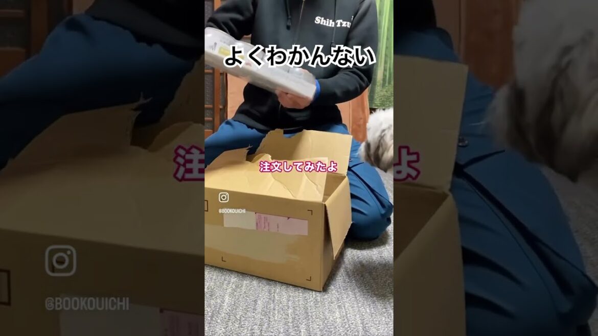 （フード）療法食の購入について #シーズー