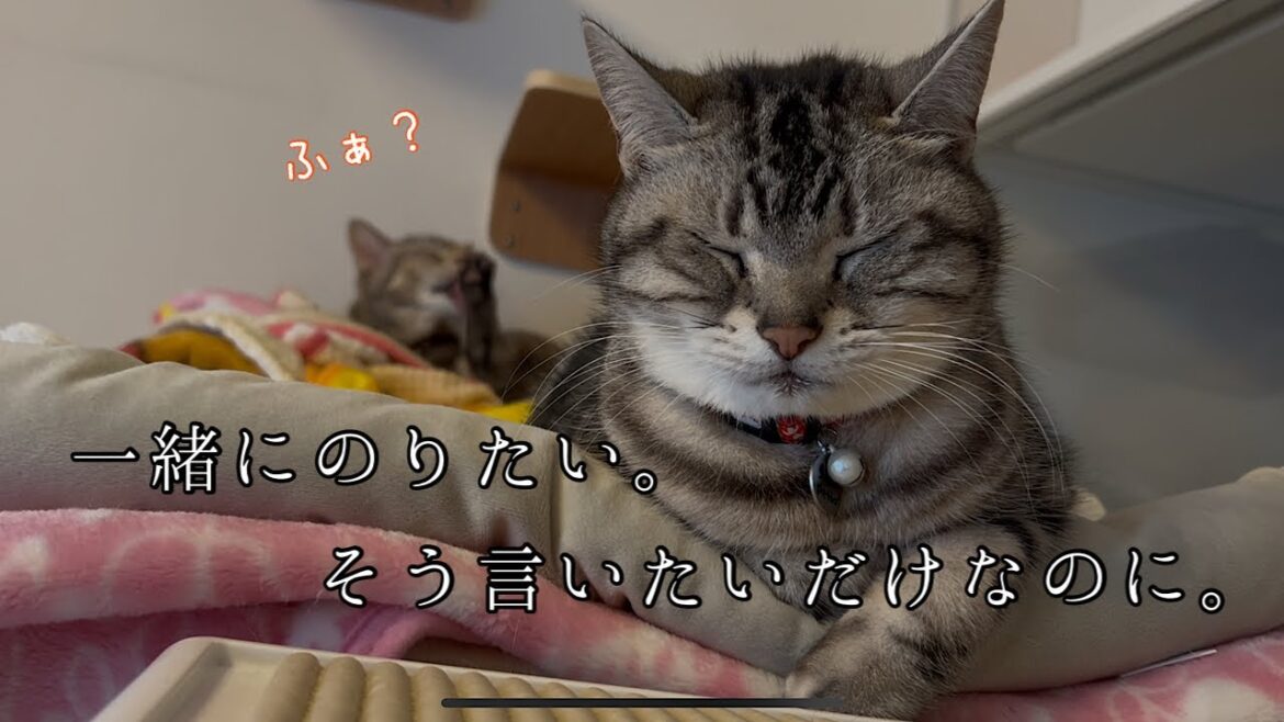 【乗らせて】素直になれば、すぐなのに。