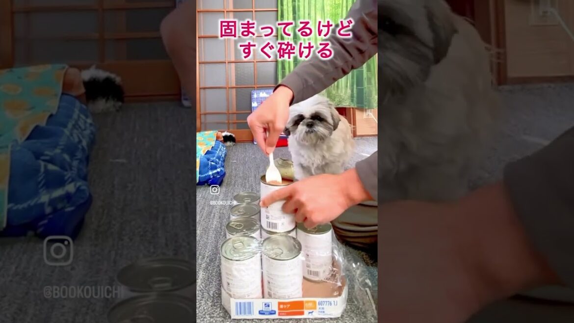 ヒルズの療法食を頼んでみた #シーズー