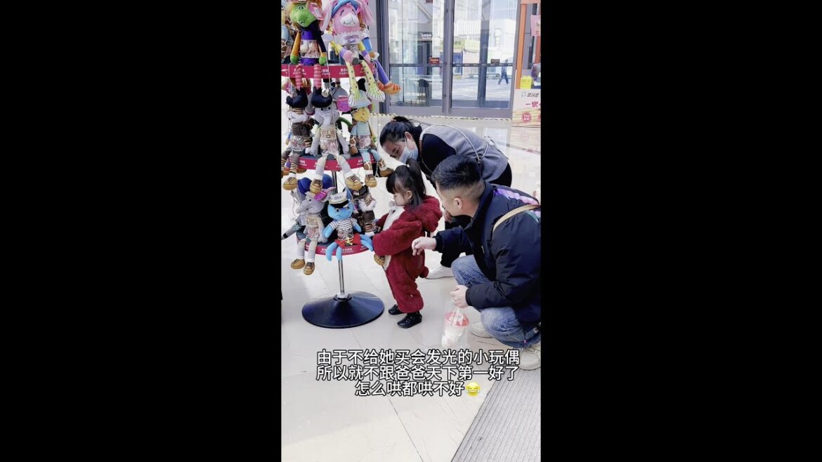 又是难哄的一天…#爸爸带娃#睡神乖一家 #松狮日常 #铲屎官乐趣