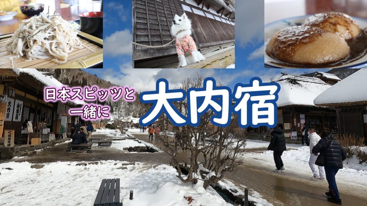 愛犬と一緒に大内宿へ行ったよ！　#日本スピッツ
