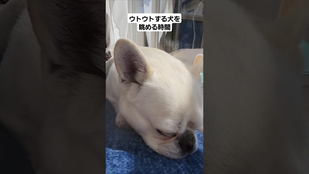 この幸せな瞬間を大切にしたい