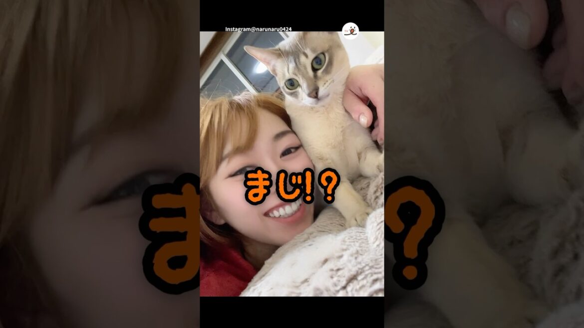 重大なことを伝えました｜PECO