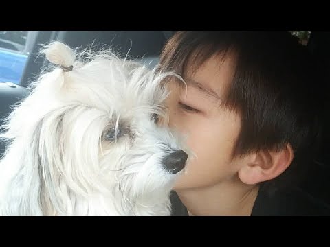 相対性理論に悩むアルゼンチン代表の次男坊とそれに付き合うチャイクレのウィルちゃん。 相対性理論に悩むアルゼンチン代表の次男坊とそれに付き合うチャイクレのウィルちゃん。