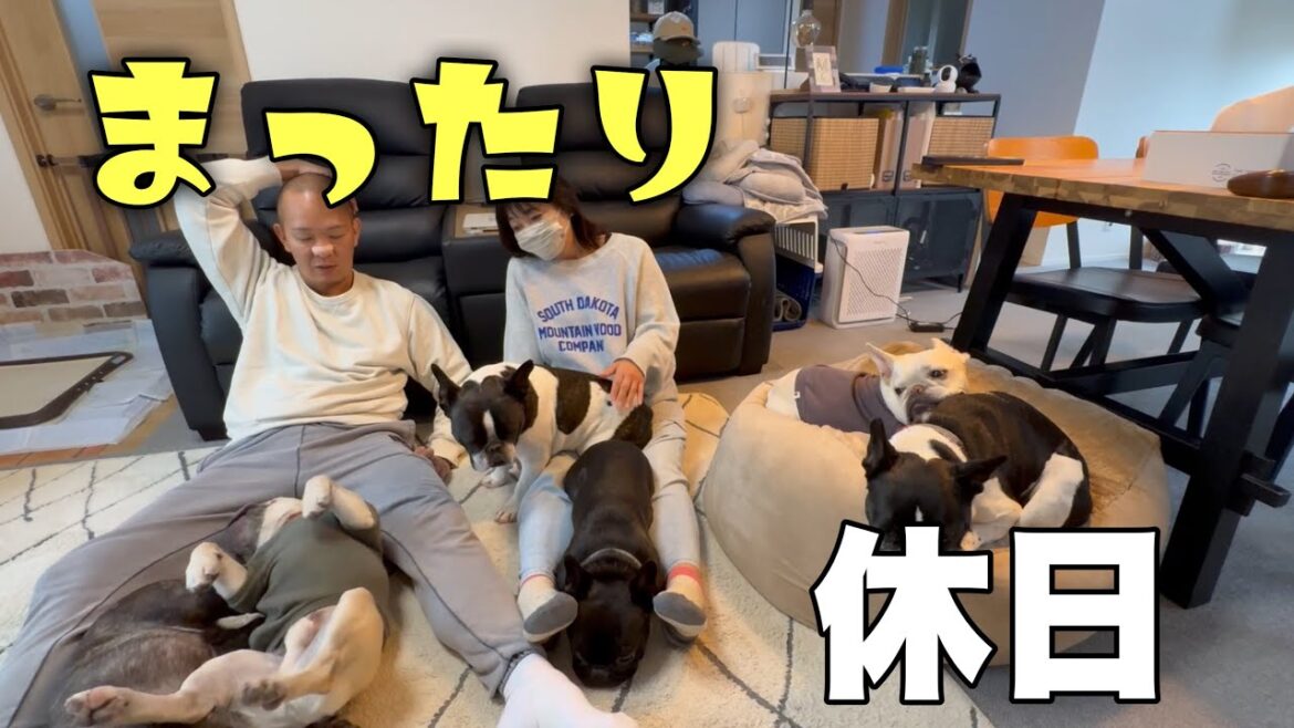 【雨の1日】フレンチブルドック6頭と一緒にまったりゴロゴロする平和な休日