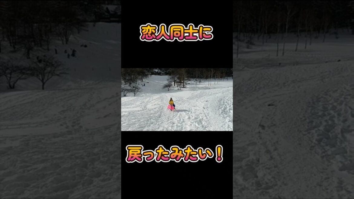 脳出血後に初スノーシューと雪遊び⑧　#shorts #脳出血 #ボーダーコリー #犬とお出かけ #ハイエース #夫婦 #スノーシュー