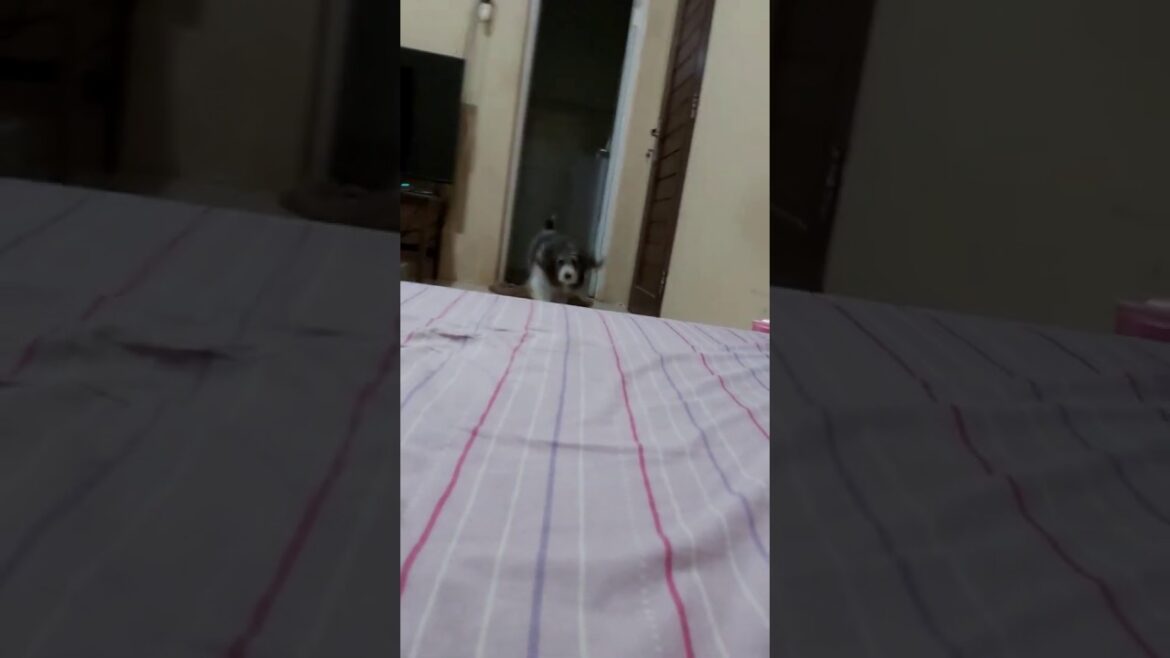 Let Me Do That