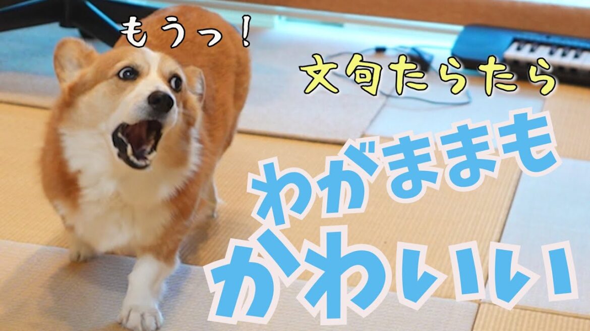 遊んでくれない父に文句ばっかり言ってしまうわがままっ子