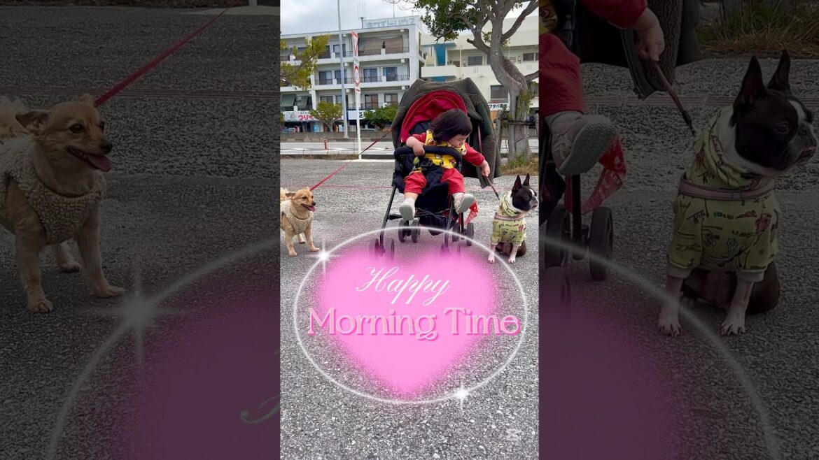 二匹の犬を連れてベビーカーを走らす赤子👶✨ 【こむこま姉妹】 #shorts