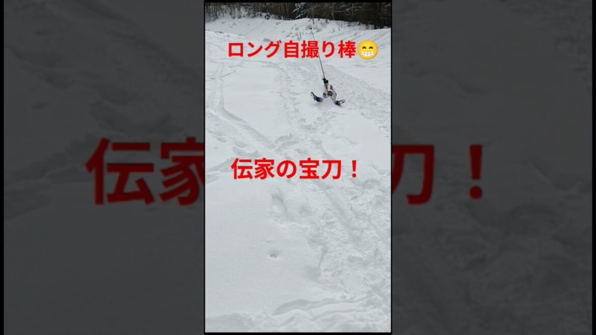 犬と一緒に雪遊び⑤♪　#shorts #ボーダーコリー #犬とお出かけ #ハイエース #犬と雪遊び