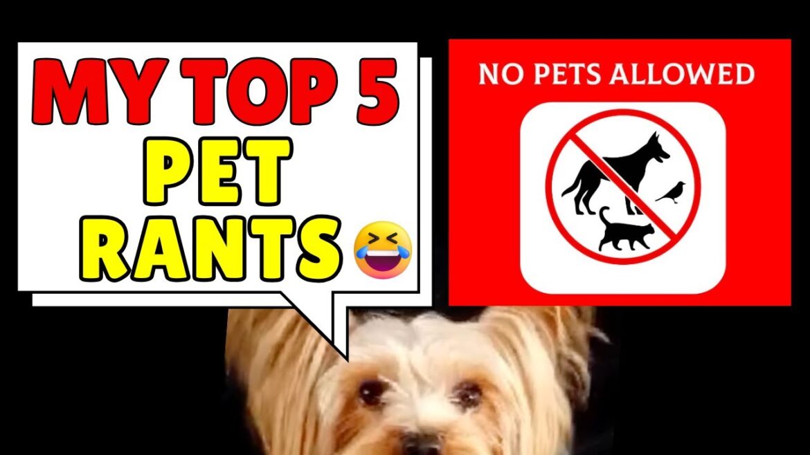 HILARIOUS PETS RANTS !!