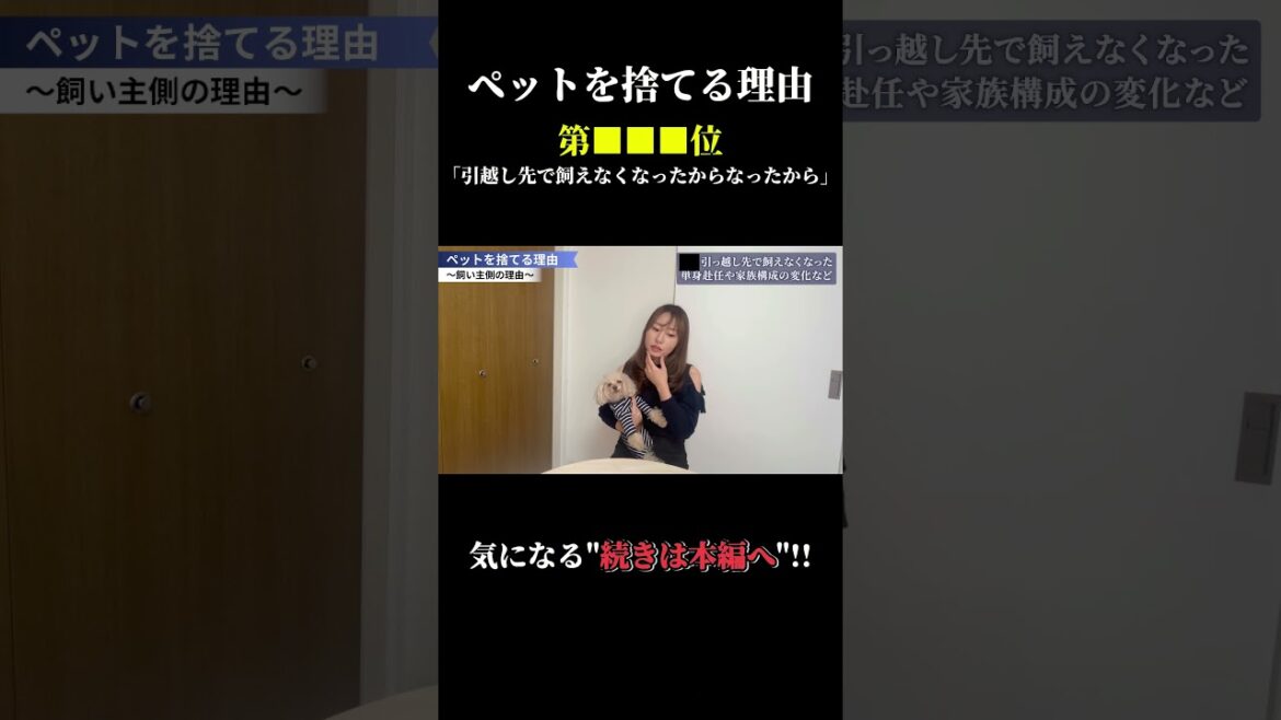 【衝撃】ペットを捨てる理由 ◯位  #dogs #short  #ひろゆき #犬 #犬とおねえさん #youtube教室 #狗  #Anjing #Perros #الكلاب #หมา #犬の豆知識