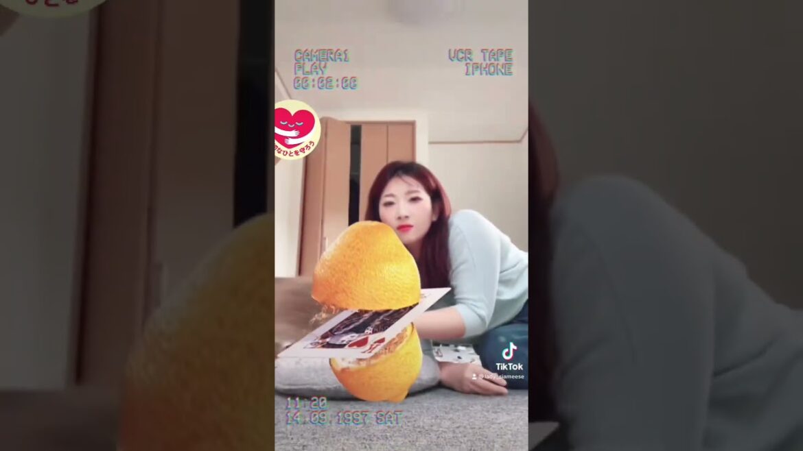 またもや愛猫逃げる💨 #tiktok #shorts #シャム猫娘
