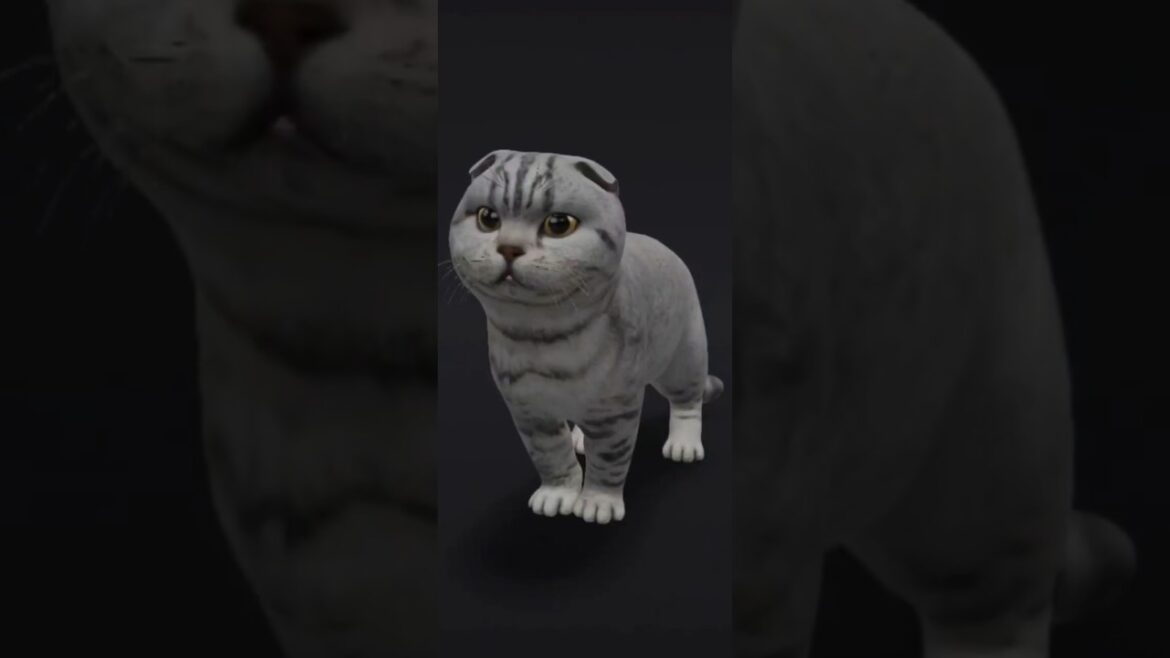 Did You Know These Unique cat Exist?