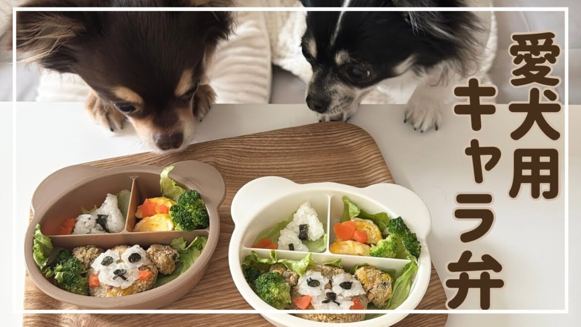 2分で完食！愛犬にキャラ弁2時間半かけて作ってみた