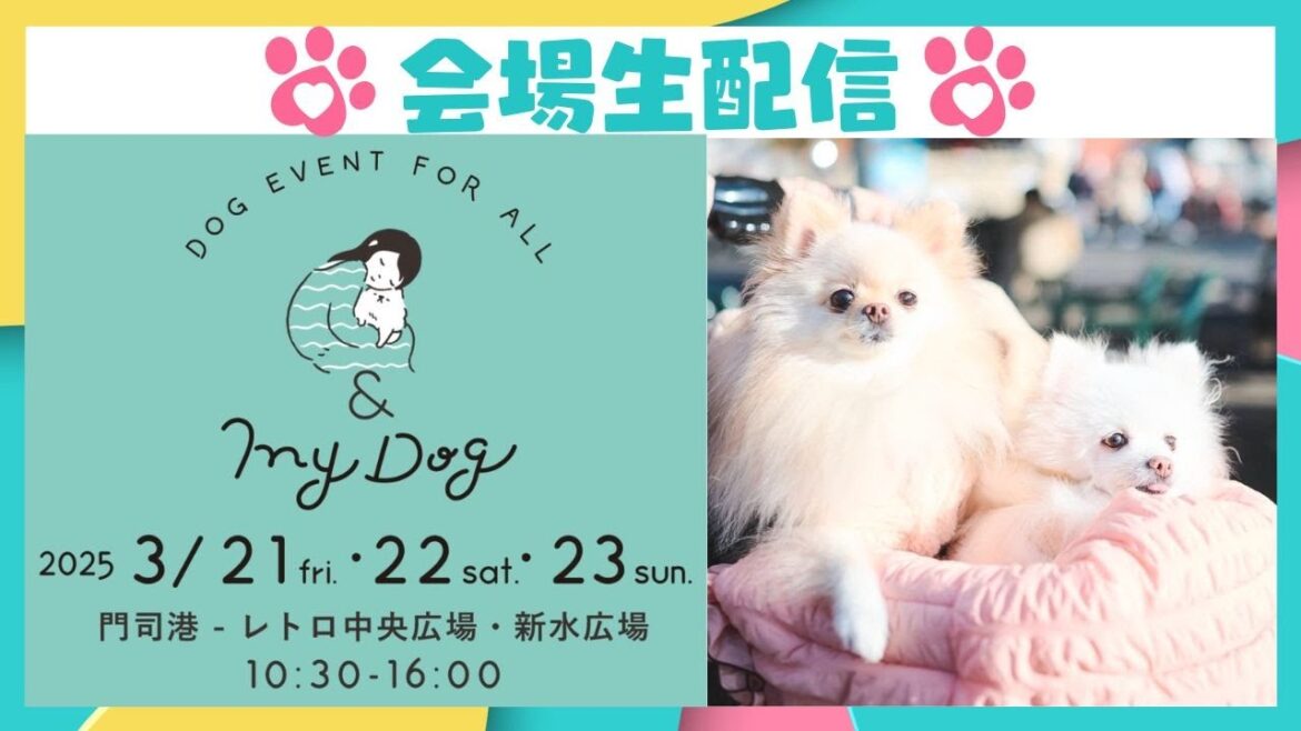 【&mydog】ワンちゃんイベントでポメラニアンのキキララと生配信！！