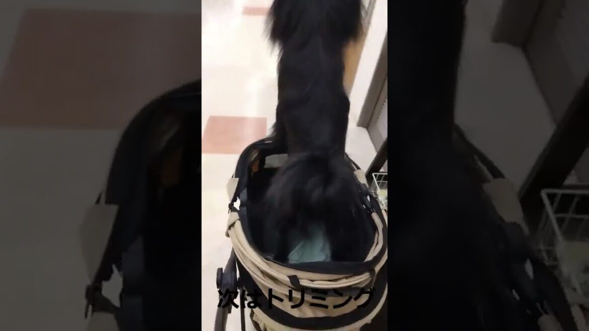 こんな感じになりました