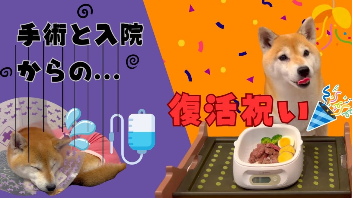 手術、入院からの復活!!