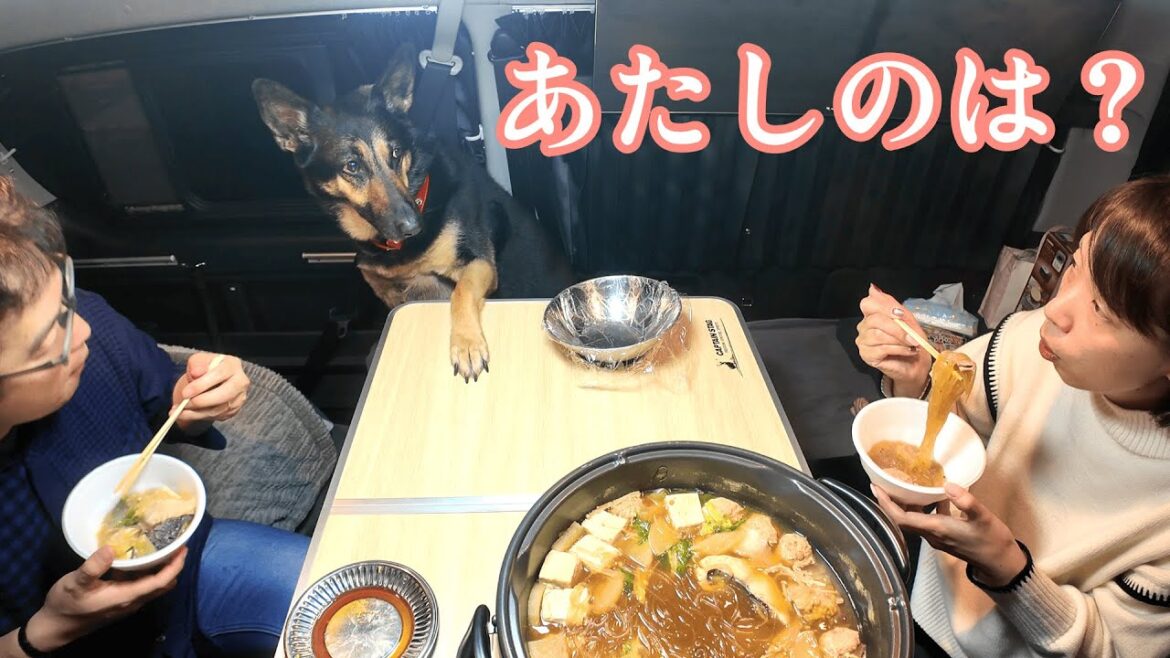 愛犬と本州最西端の県へ車中泊旅したら、ご当地鍋が絶品すぎましたｗ