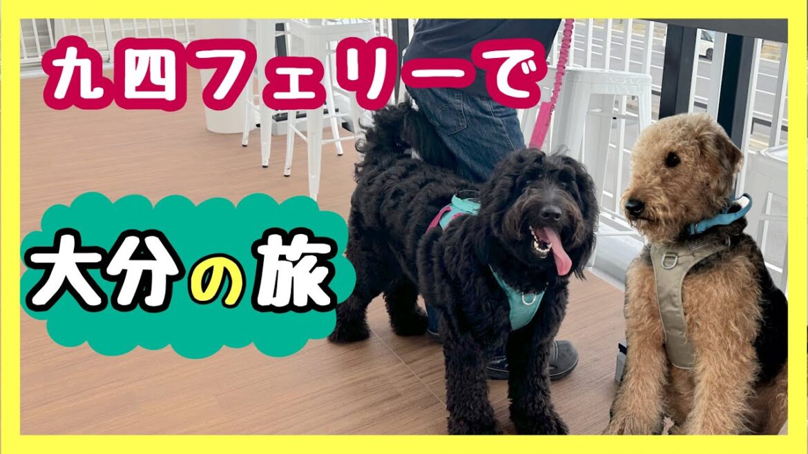 エアデールテリア＆Gドゥードルとバスコンで行く、湯けむりの大分県の旅