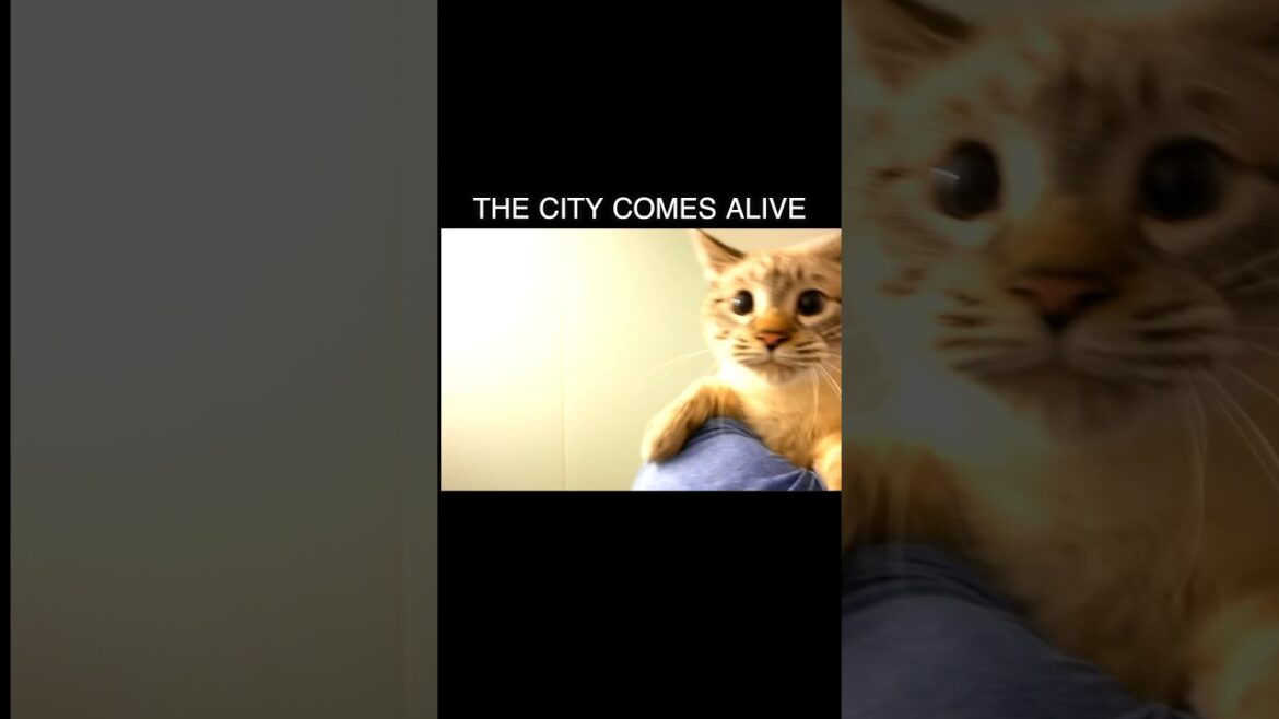 【閲覧注意】痛いのが苦手な方は飛ばしてください