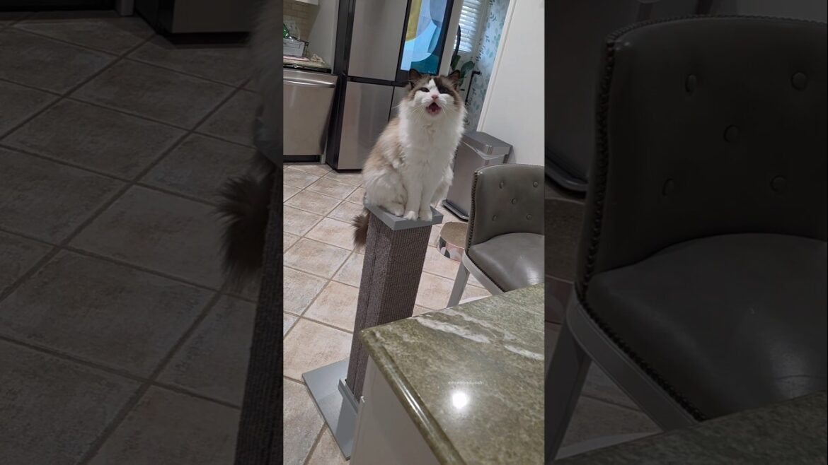 You never know what may be lurking around the corner 👀