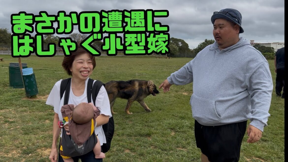 【超大型犬】　充実した1日　Leonberger　レオンベルガー