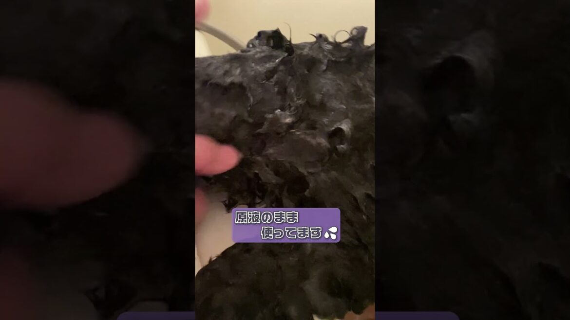 【シャンプー】初めてのシャンプー　#Shorts #スタンダードプードル #ボーダーコリー #MIX  #ティーツリーシャンプー #犬のシャンプー  #犬のいる暮らし#スタンプー #ボーダースタンプー