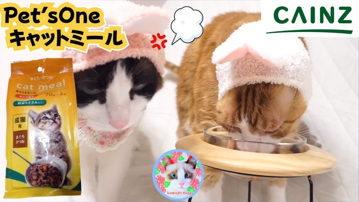 カインズPet’sOne キャットミール レトルトを食べた猫さんいますか？ Catfood