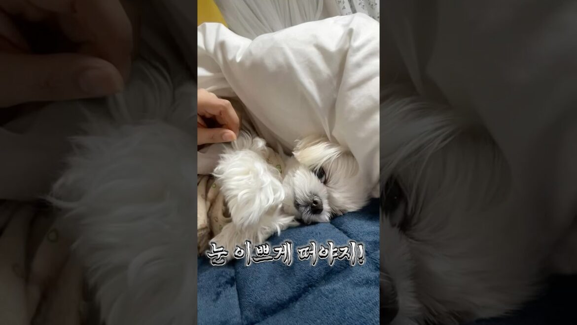 눈 이쁘게 떠야지!😡🤭