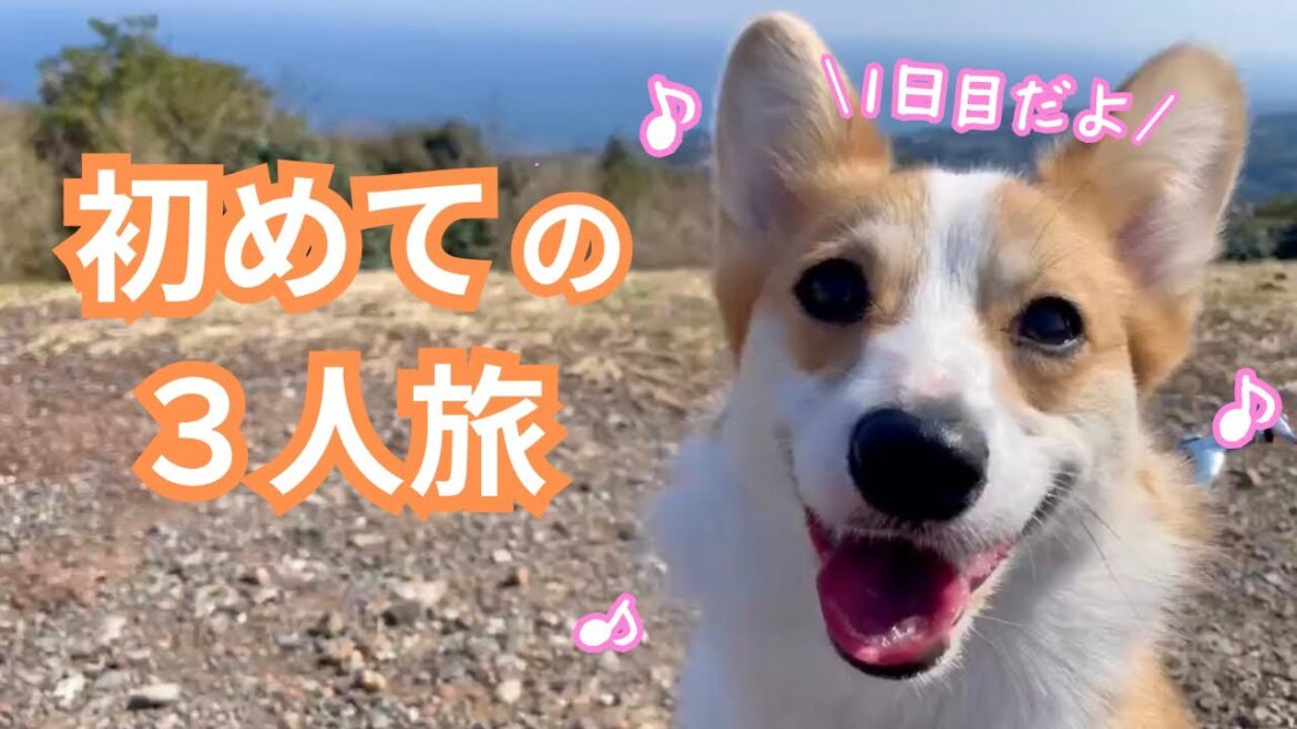 【第139話】初めての3人旅〜伊東旅行 1日目〜【コーギー犬】