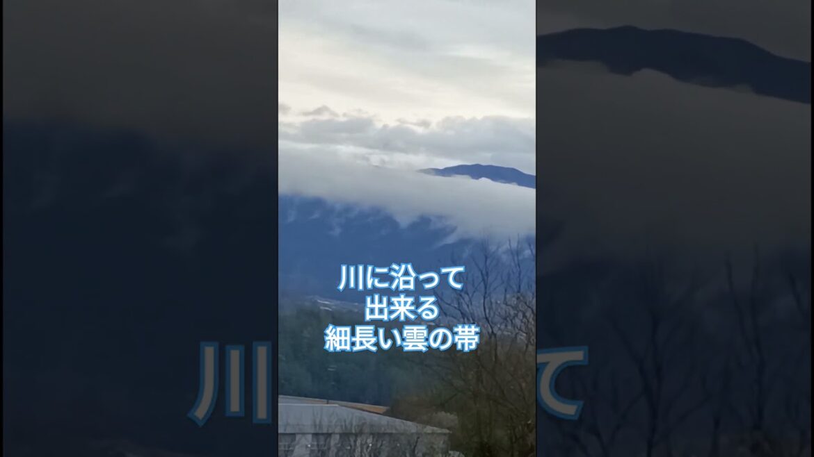 里山からみる今朝の伊那谷の風景 #オーストラリアンシェパード #伊那谷 #里山暮らし